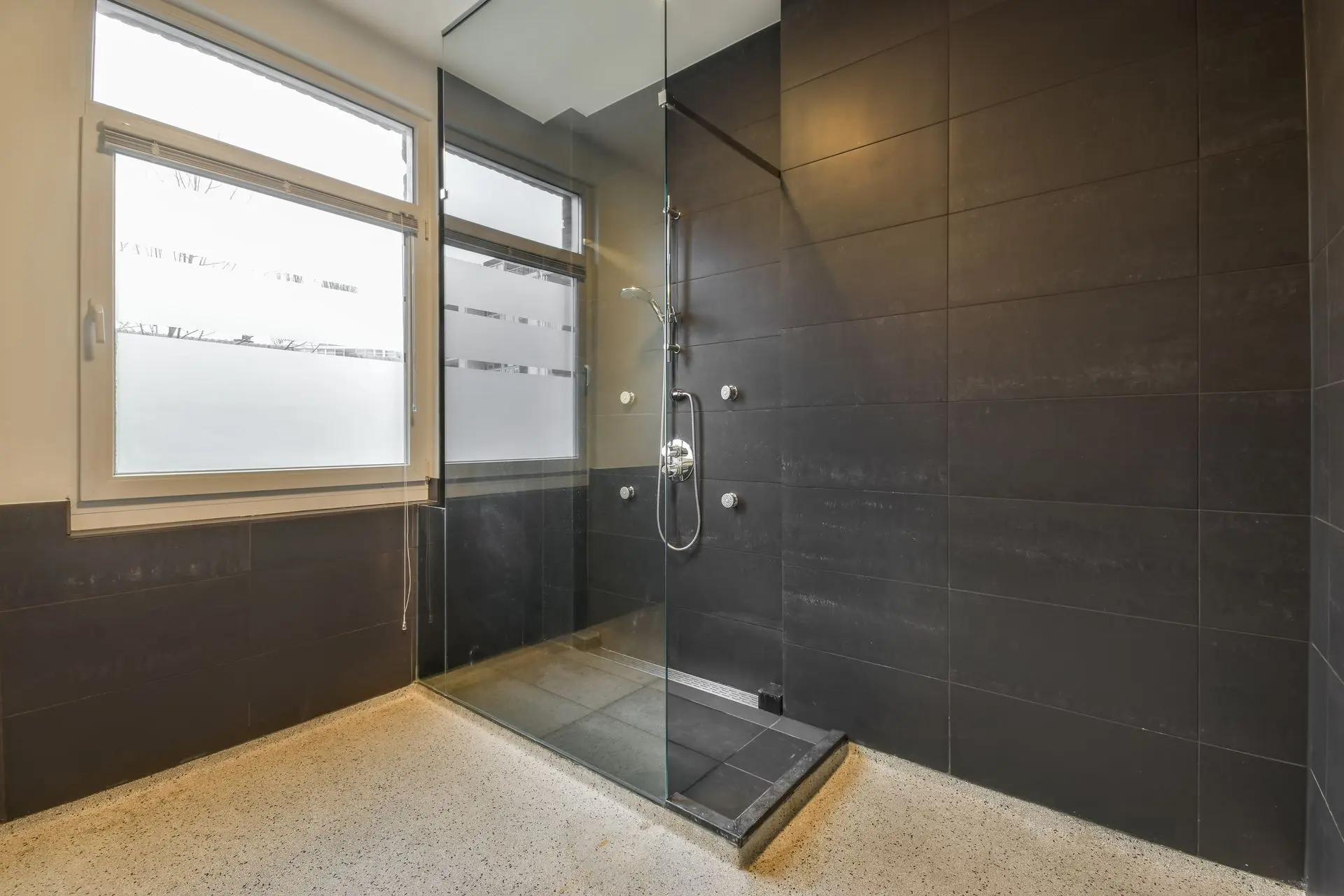 Shower Glass Partition